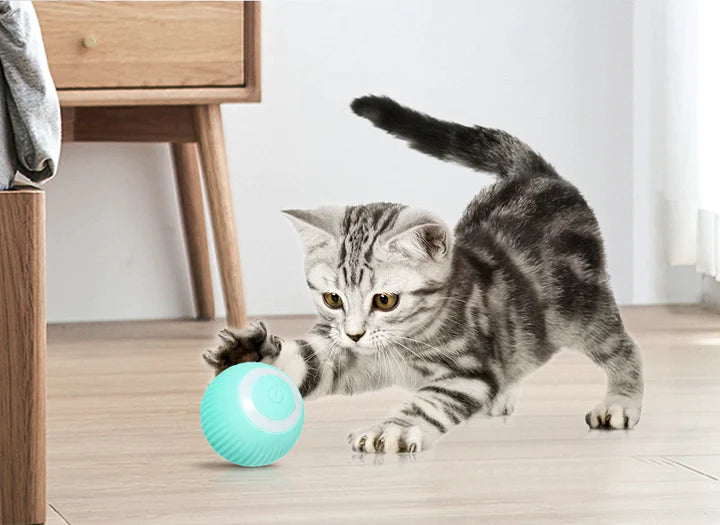 Brinquedo Para Gatos - Bola De Rolamento Automático